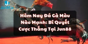 hôm nay đá gà màu nào mạnh